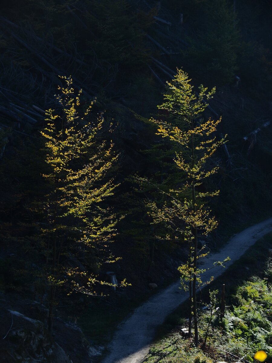 PA163489.JPGn.JPG
