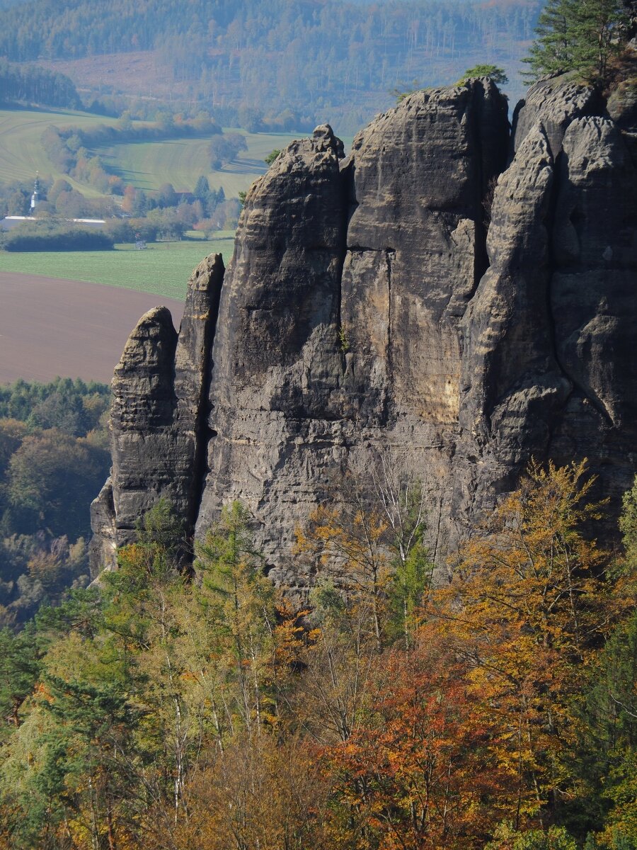 PA163503.JPGn.JPG