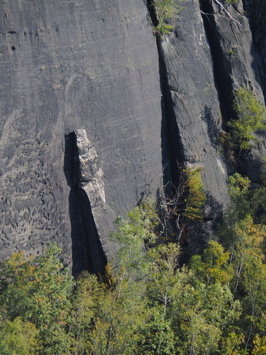 PA163506.JPGn.JPG