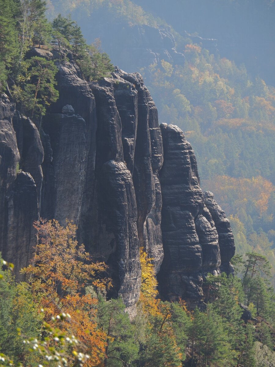 PA163507.JPGn.JPG