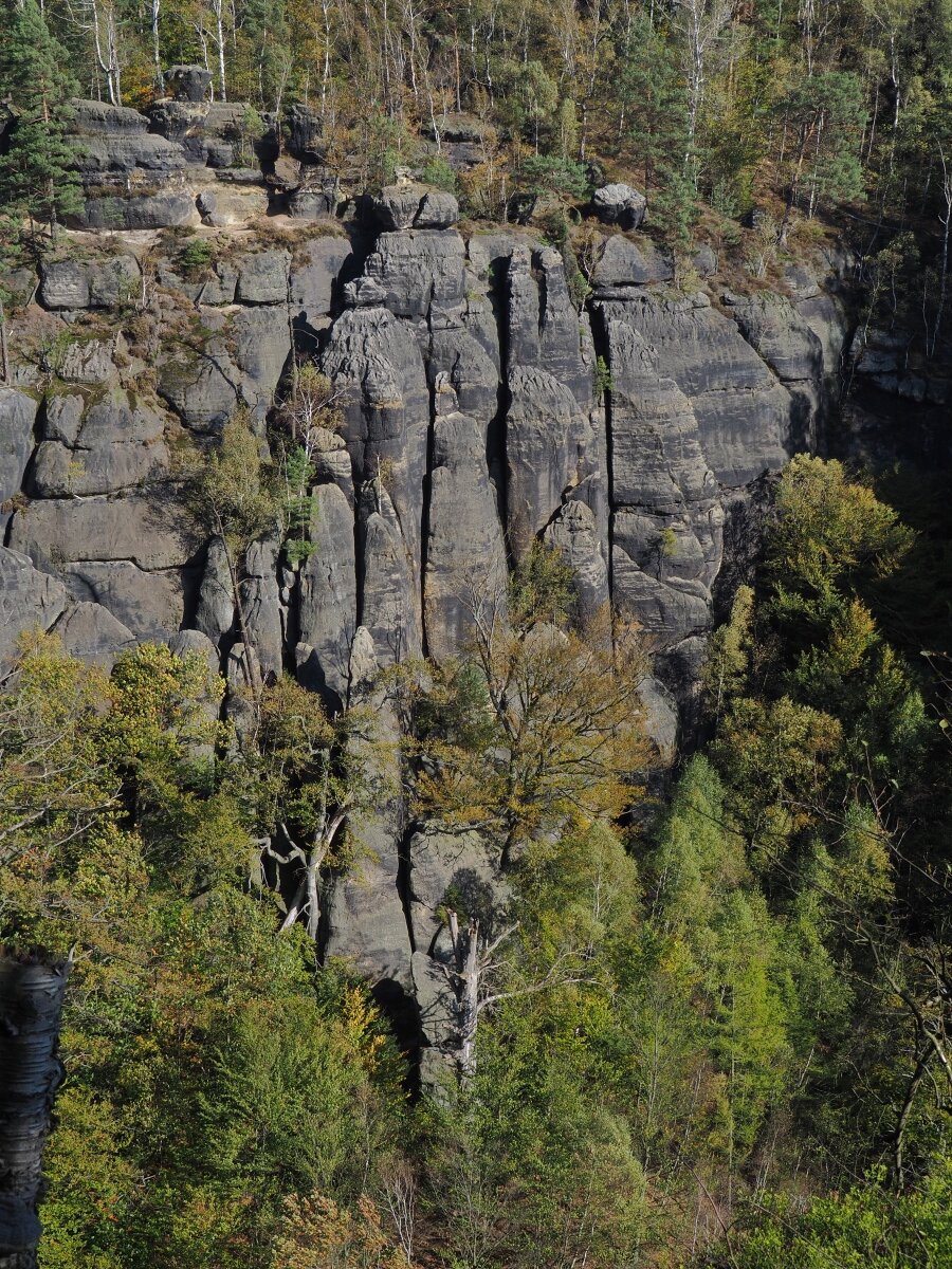 PA163511.JPGn.JPG