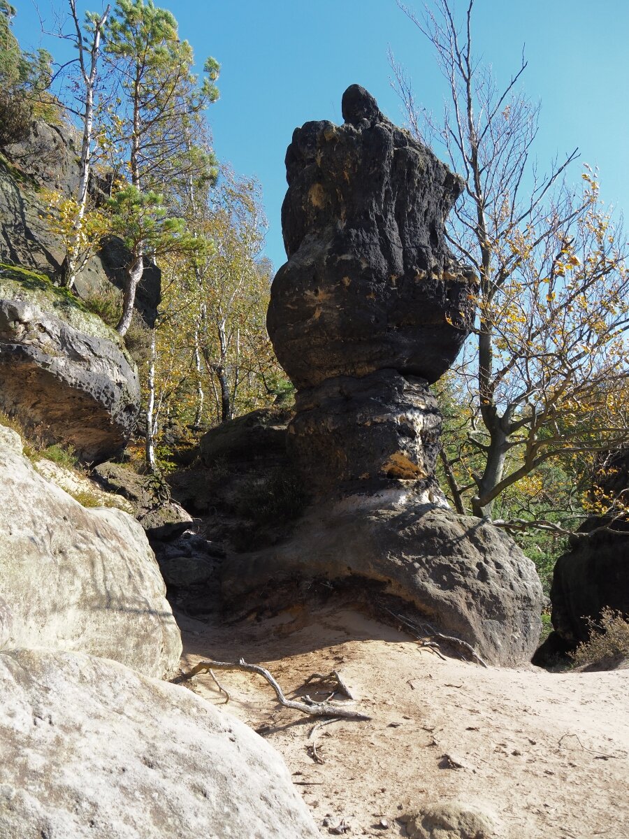 PA163512.JPGn.JPG