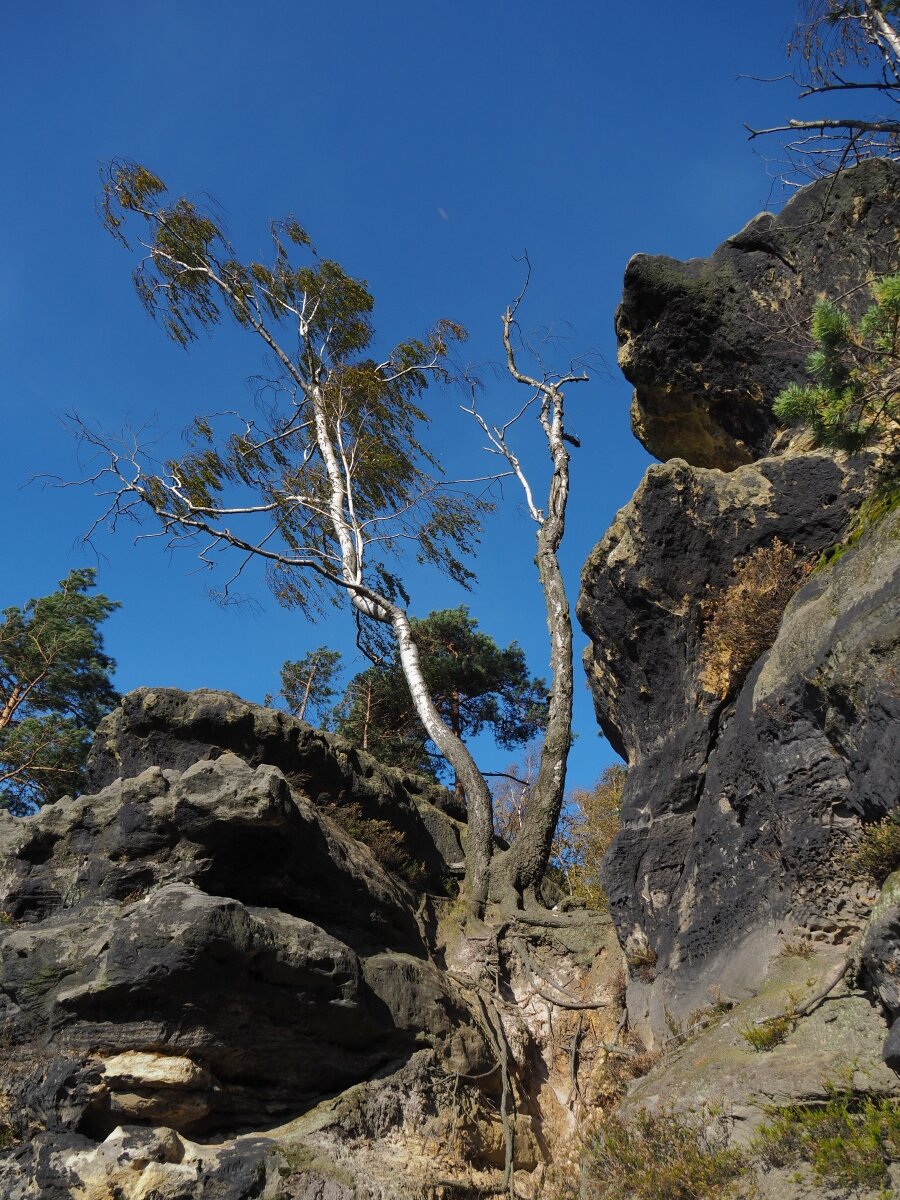 PA163514.JPGn.JPG