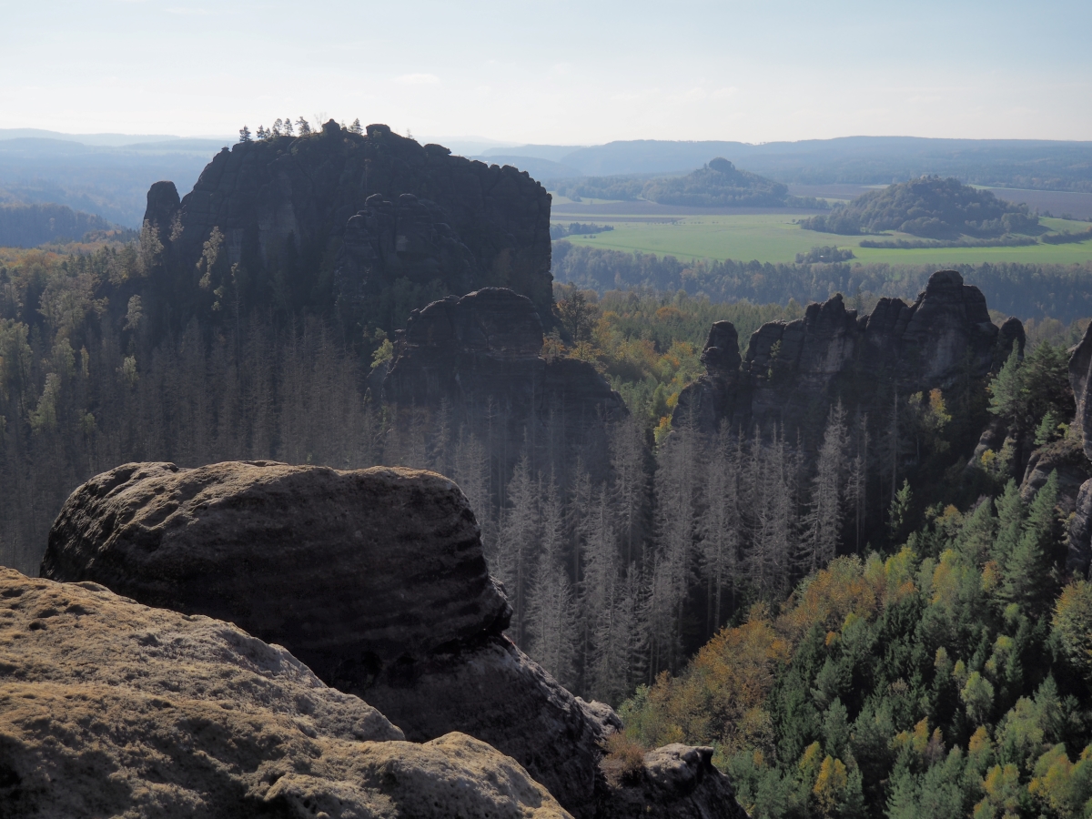 PA163518.JPGn.JPG