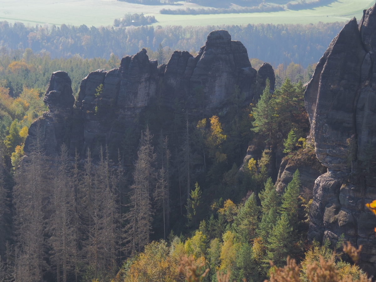 PA163522.JPGn.JPG