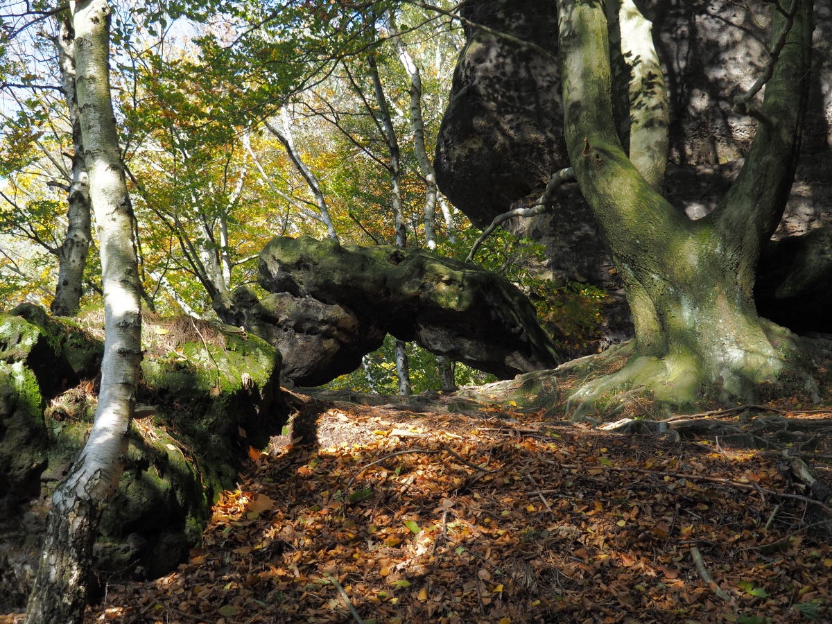 PA163551.JPGn.JPG