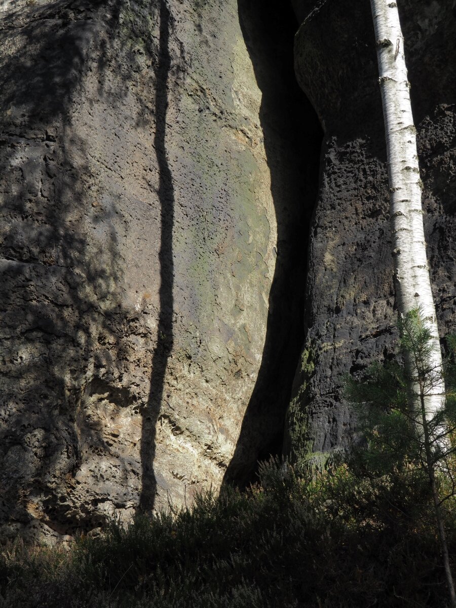 PA163554.JPGn.JPG
