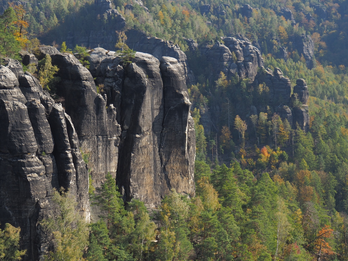 PA163561.JPGn.JPG
