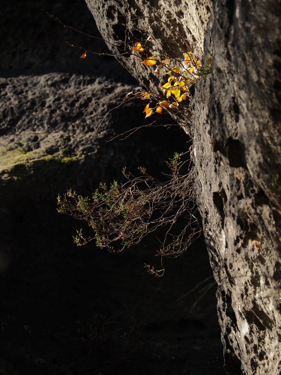 PA163566.JPGn.JPG