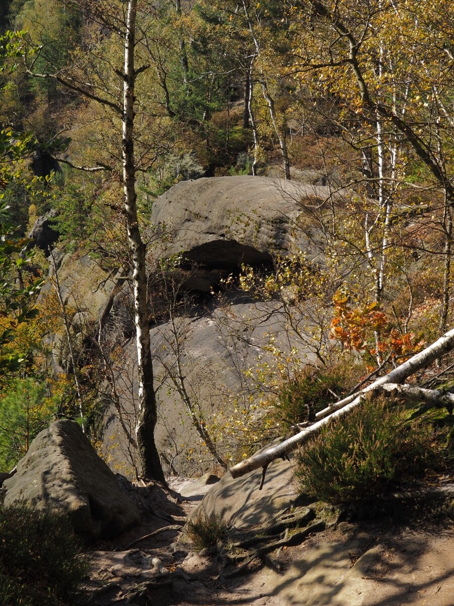 PA163588.JPGn.JPG