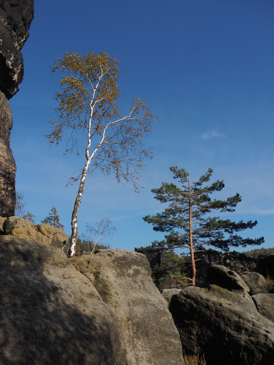 PA163593.JPGn.JPG