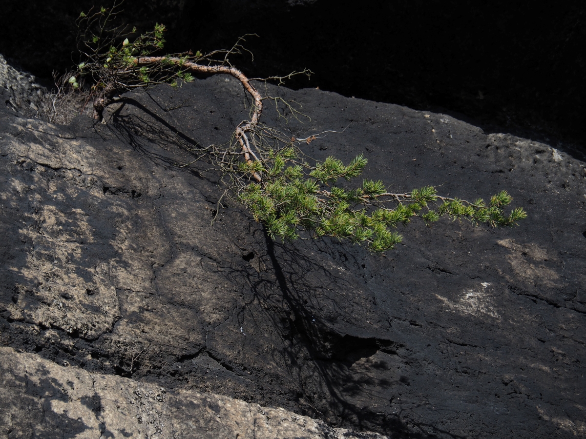 PA163597.JPGn.JPG