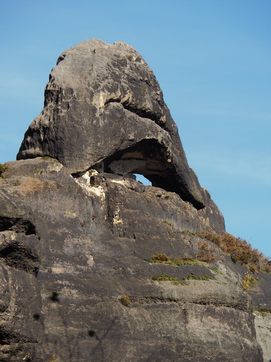 PA163610.JPGn.JPG