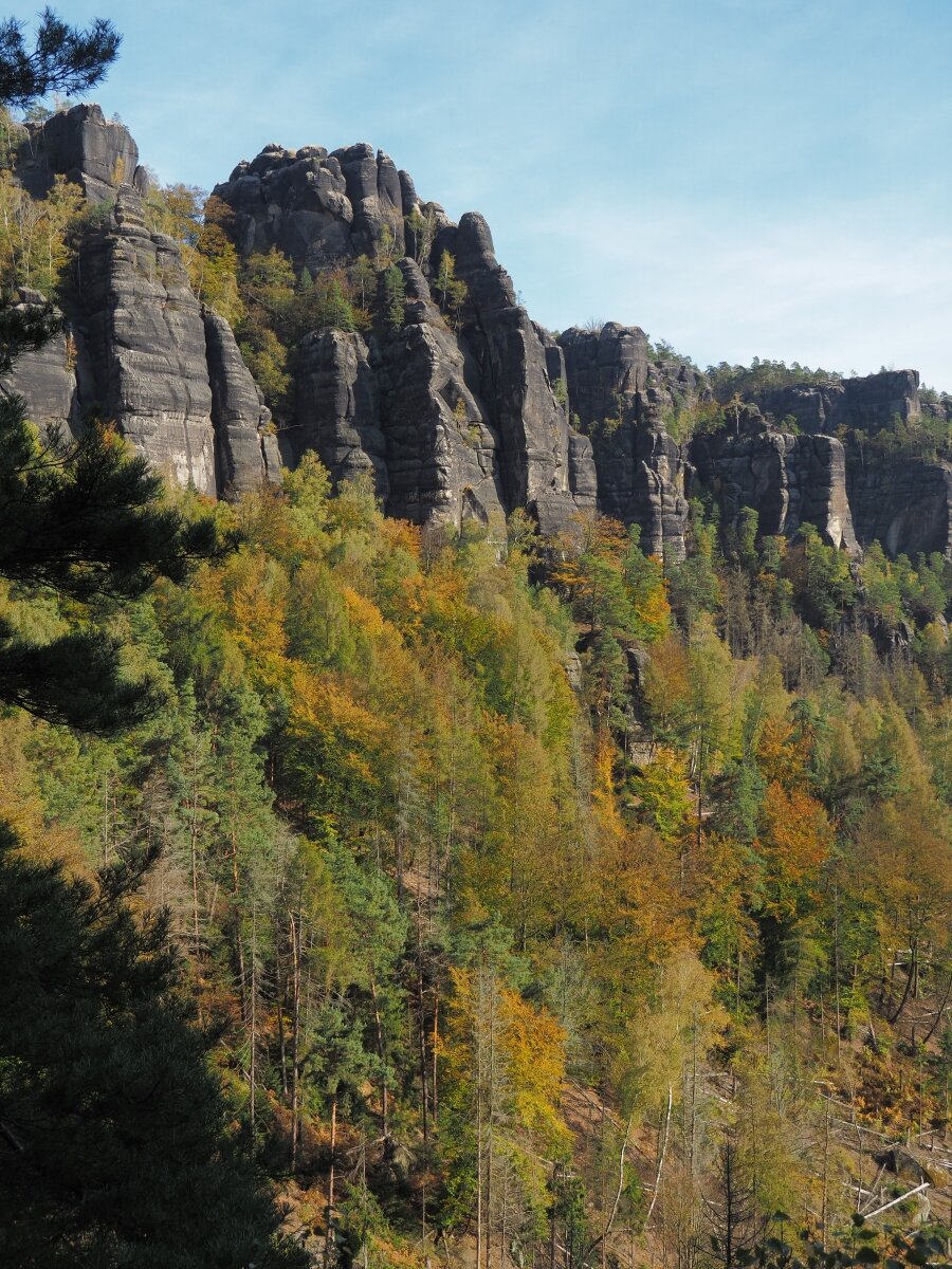 PA163614.JPGn.JPG