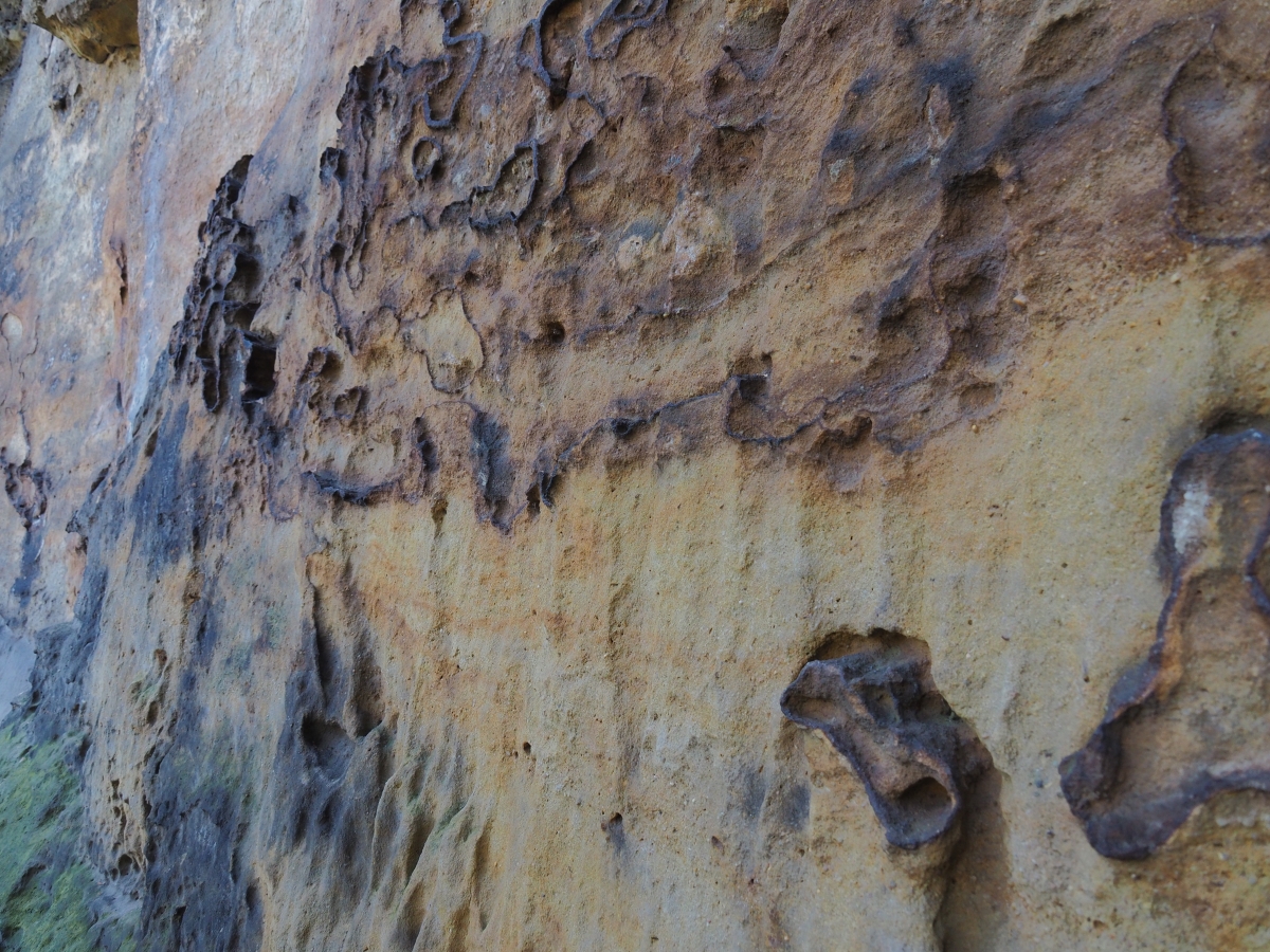 PA163615.JPGn.JPG