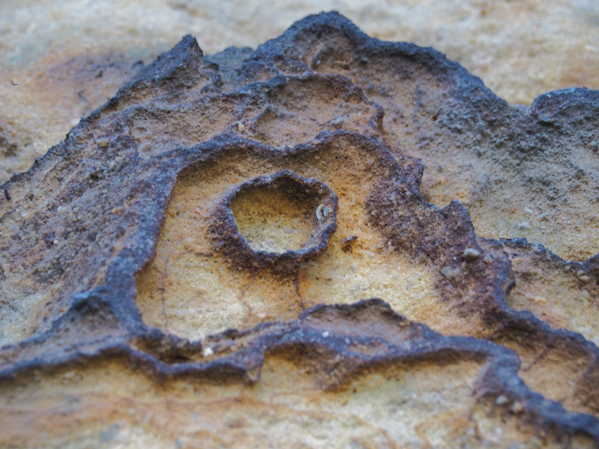 PA163617.JPGn.JPG