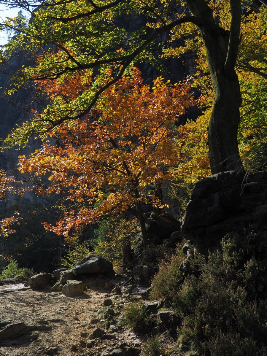 PA163619.JPGn.JPG