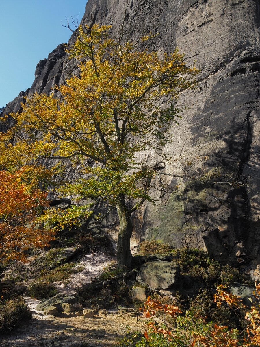 PA163623.JPGn.JPG