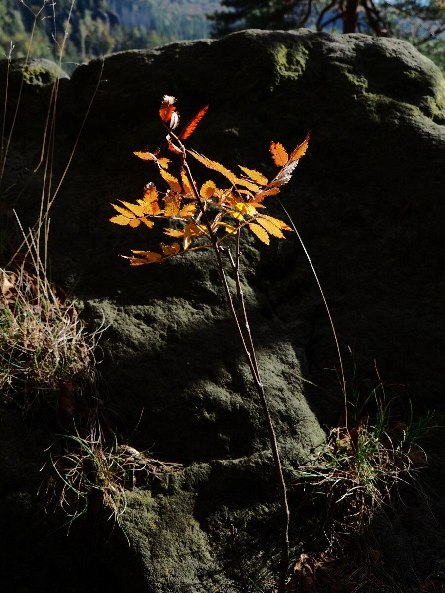 PA163626.JPGn.JPG
