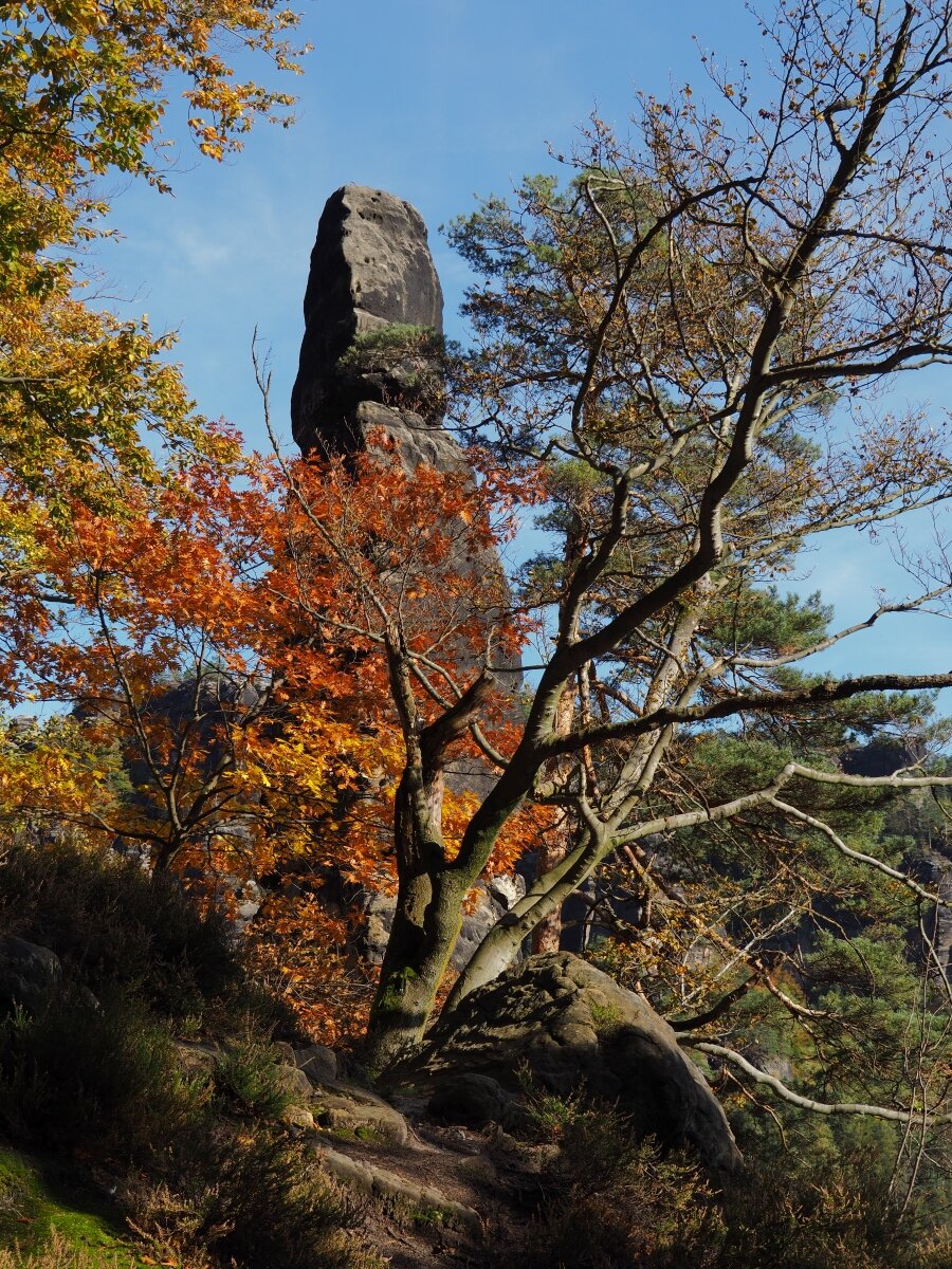 PA163628.JPGn.JPG