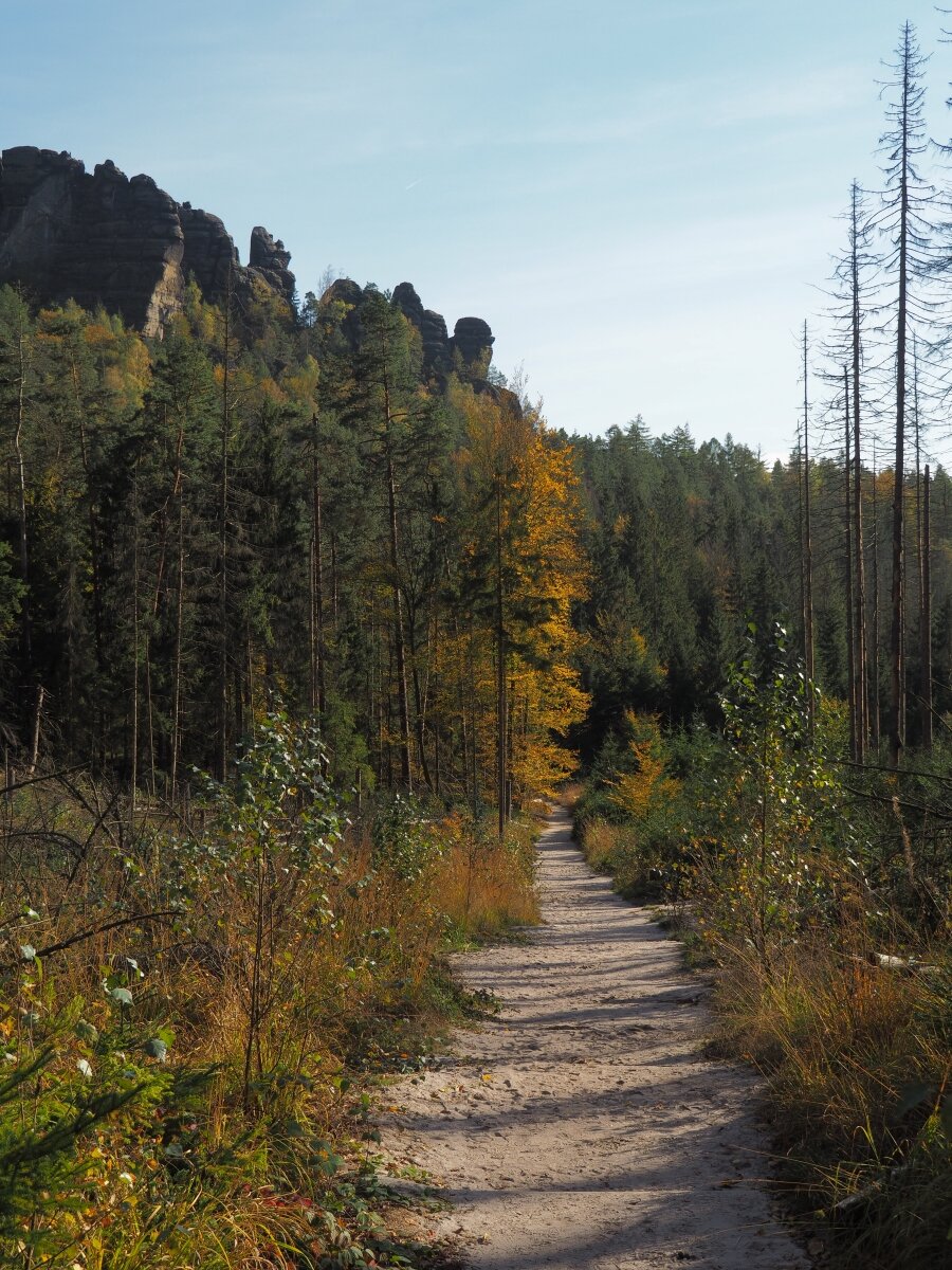 PA163633.JPGn.JPG