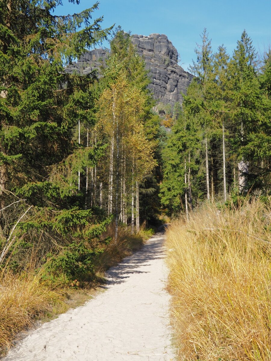 PA163637.JPGn.JPG