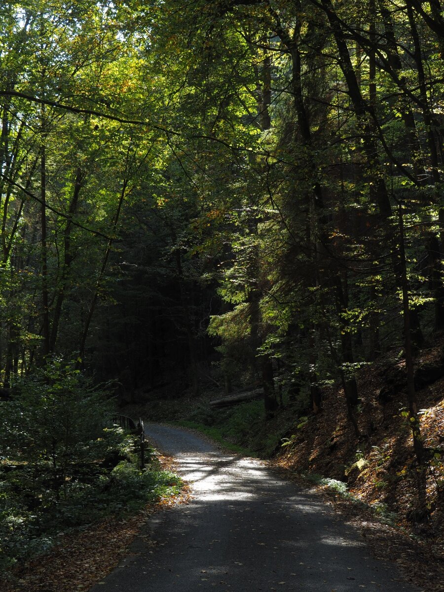 PA163640.JPGn.JPG