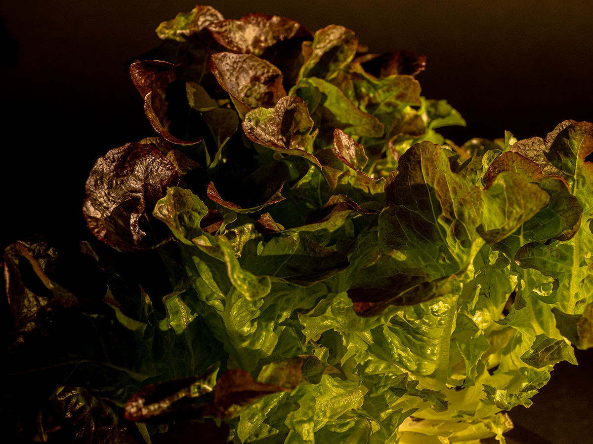 PA170039-Edit.jpg