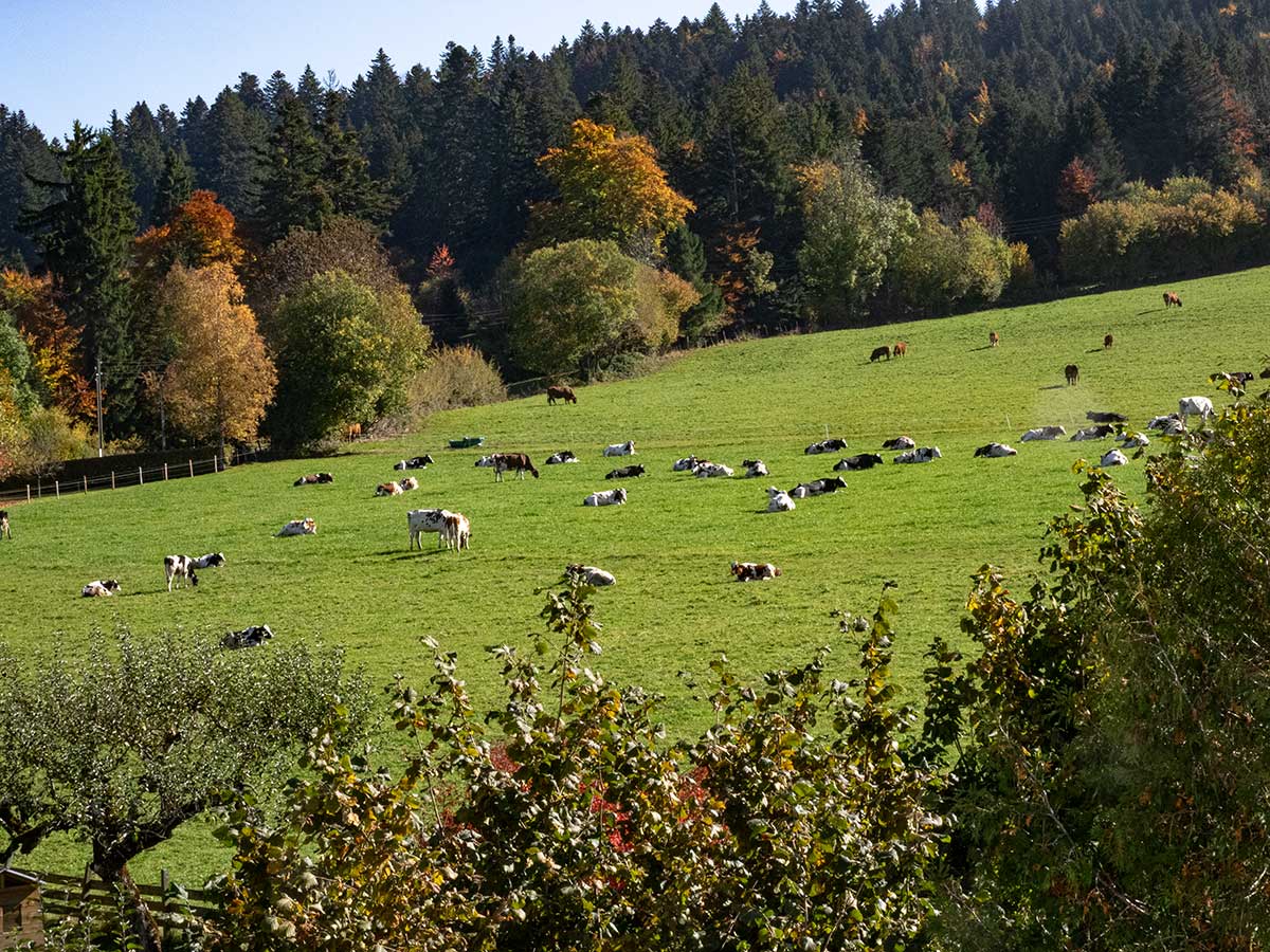 PA180025.jpg