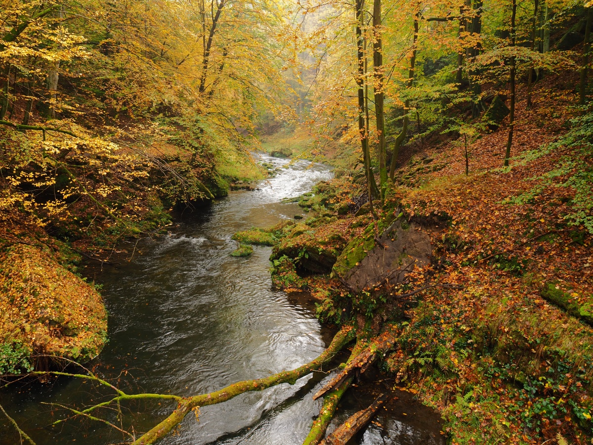 PA181006n.jpg