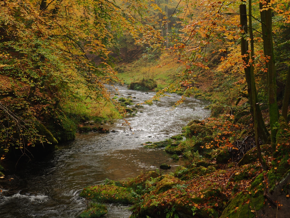 PA181007n.jpg