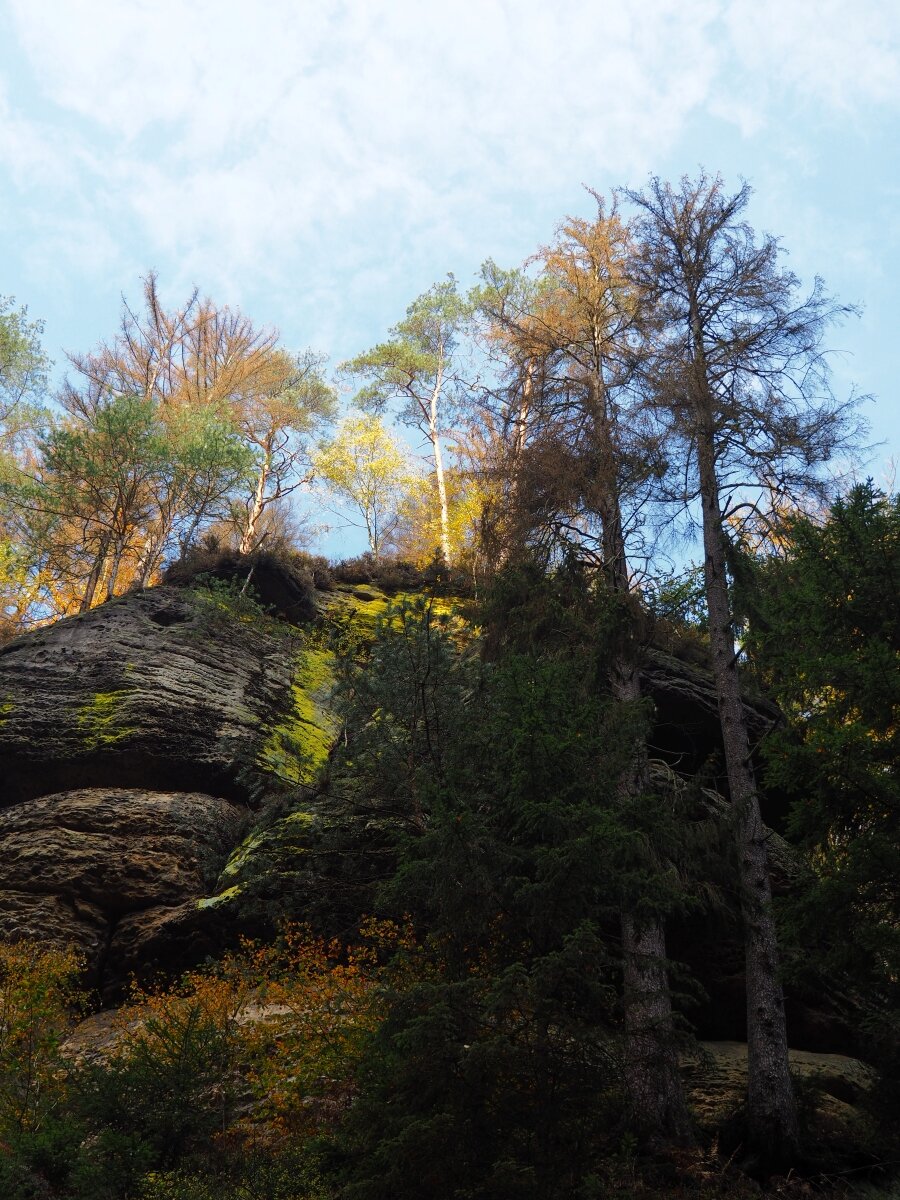 PA181069n.jpg