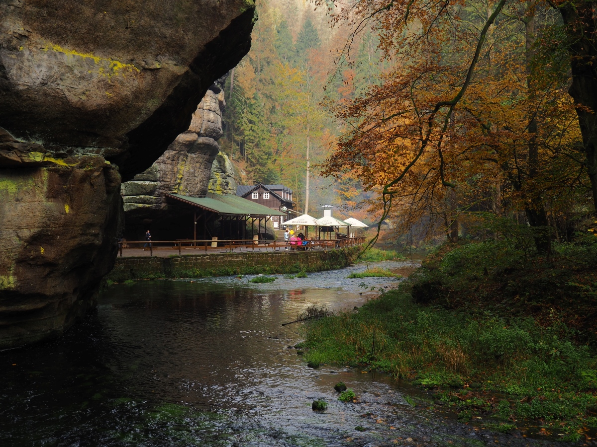 PA181086n.jpg
