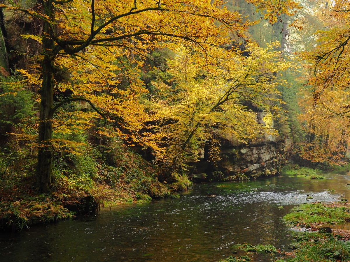 PA181088n.jpg
