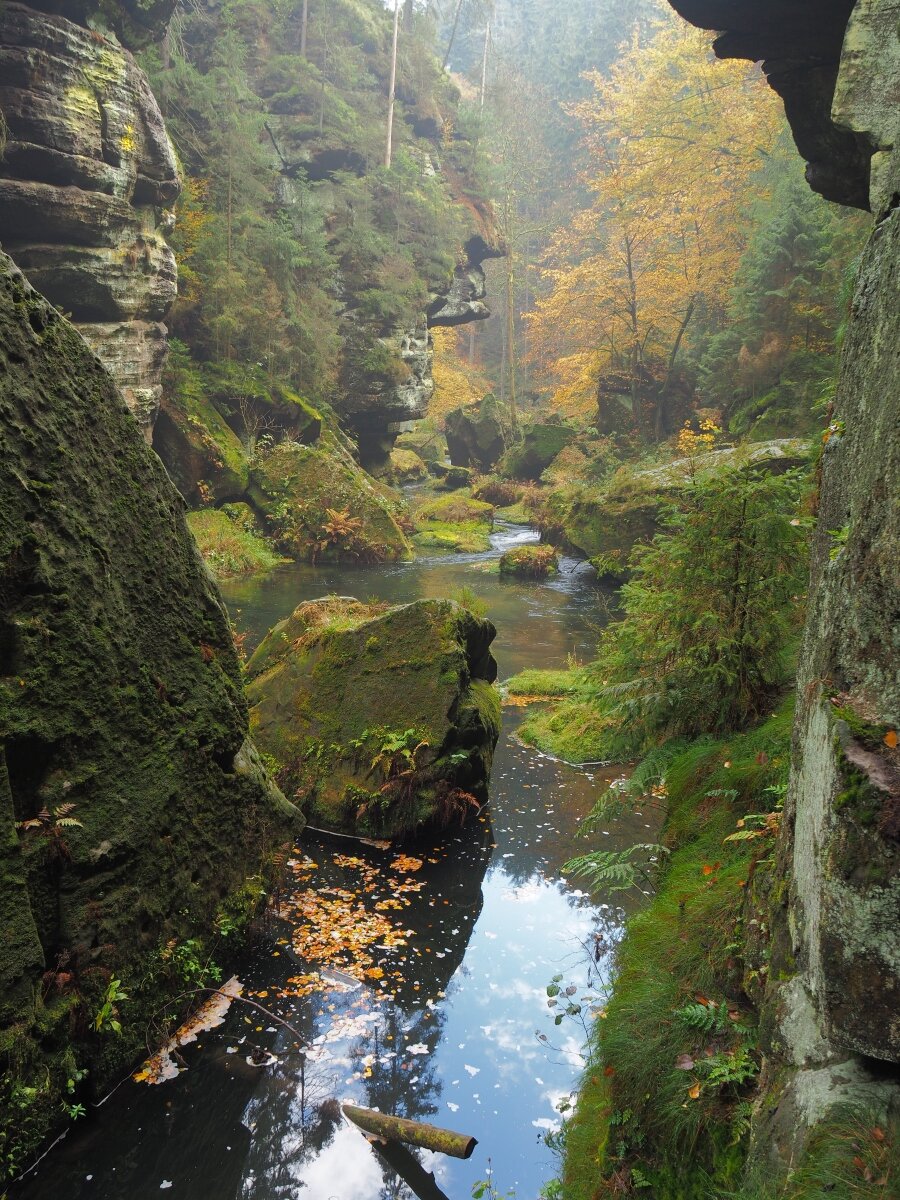 PA181104n.jpg