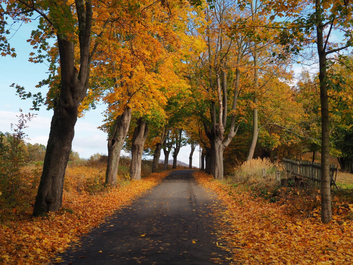 PA181128n.jpg
