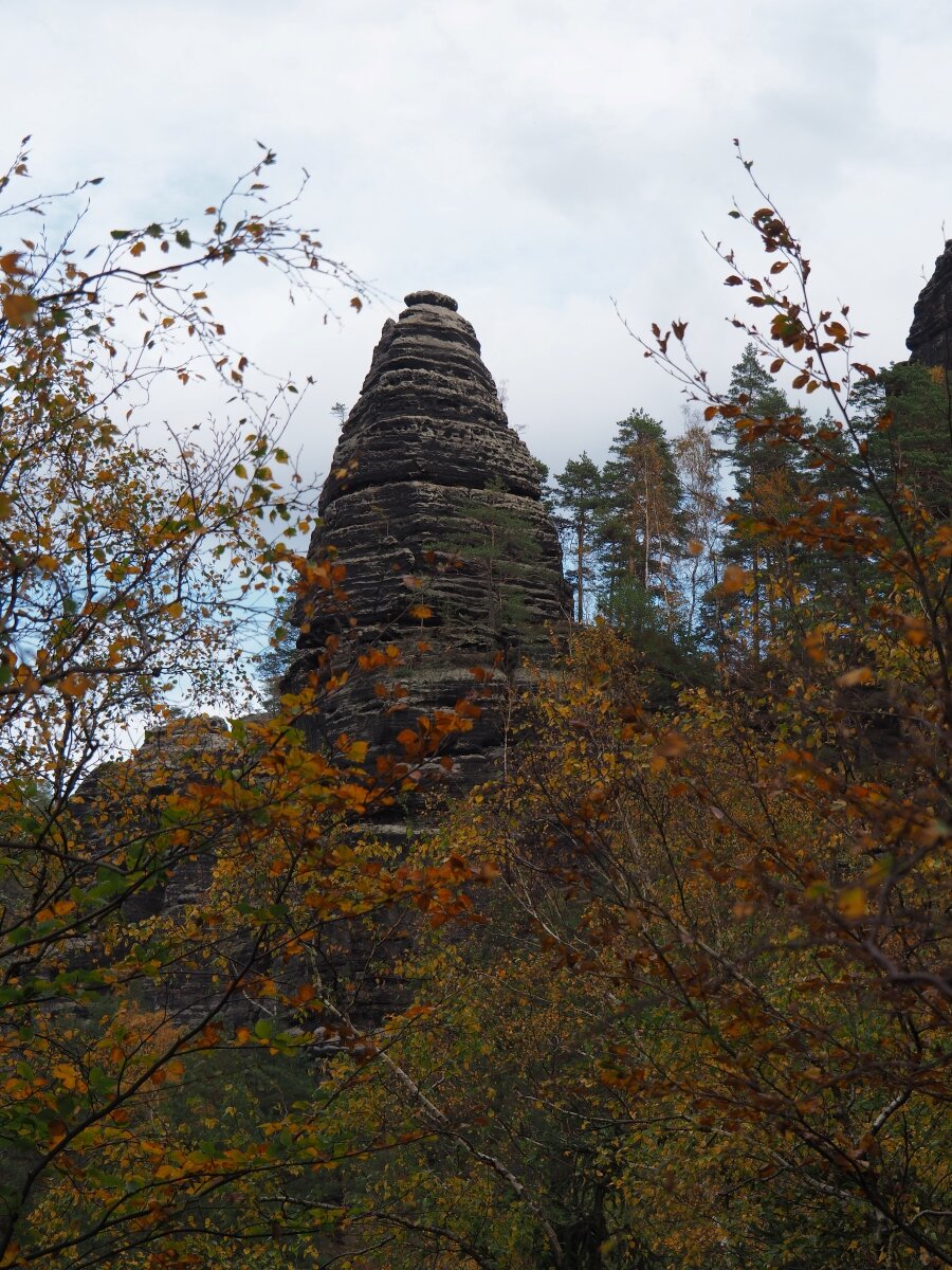 PA181173n.jpg