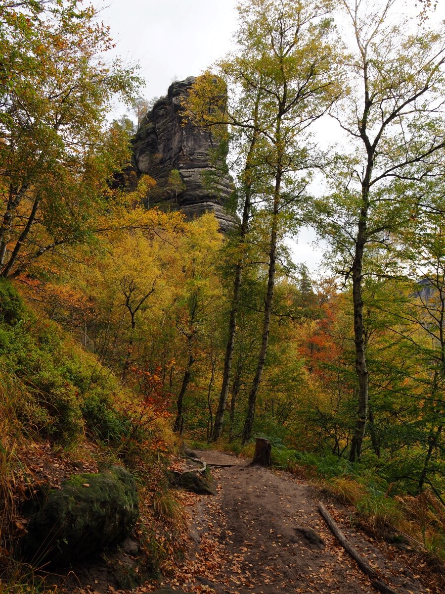 PA181180n.jpg