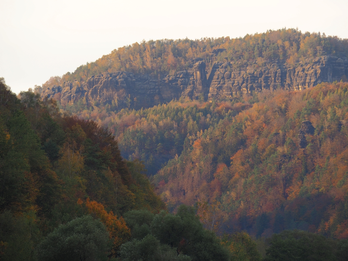 PA181244n.jpg