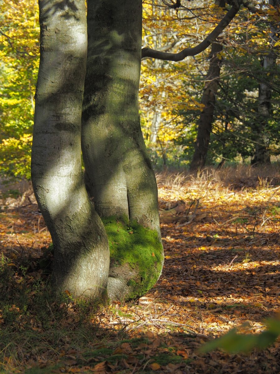 PA203659n.JPG