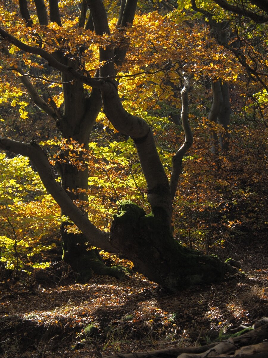 PA203705n.JPG