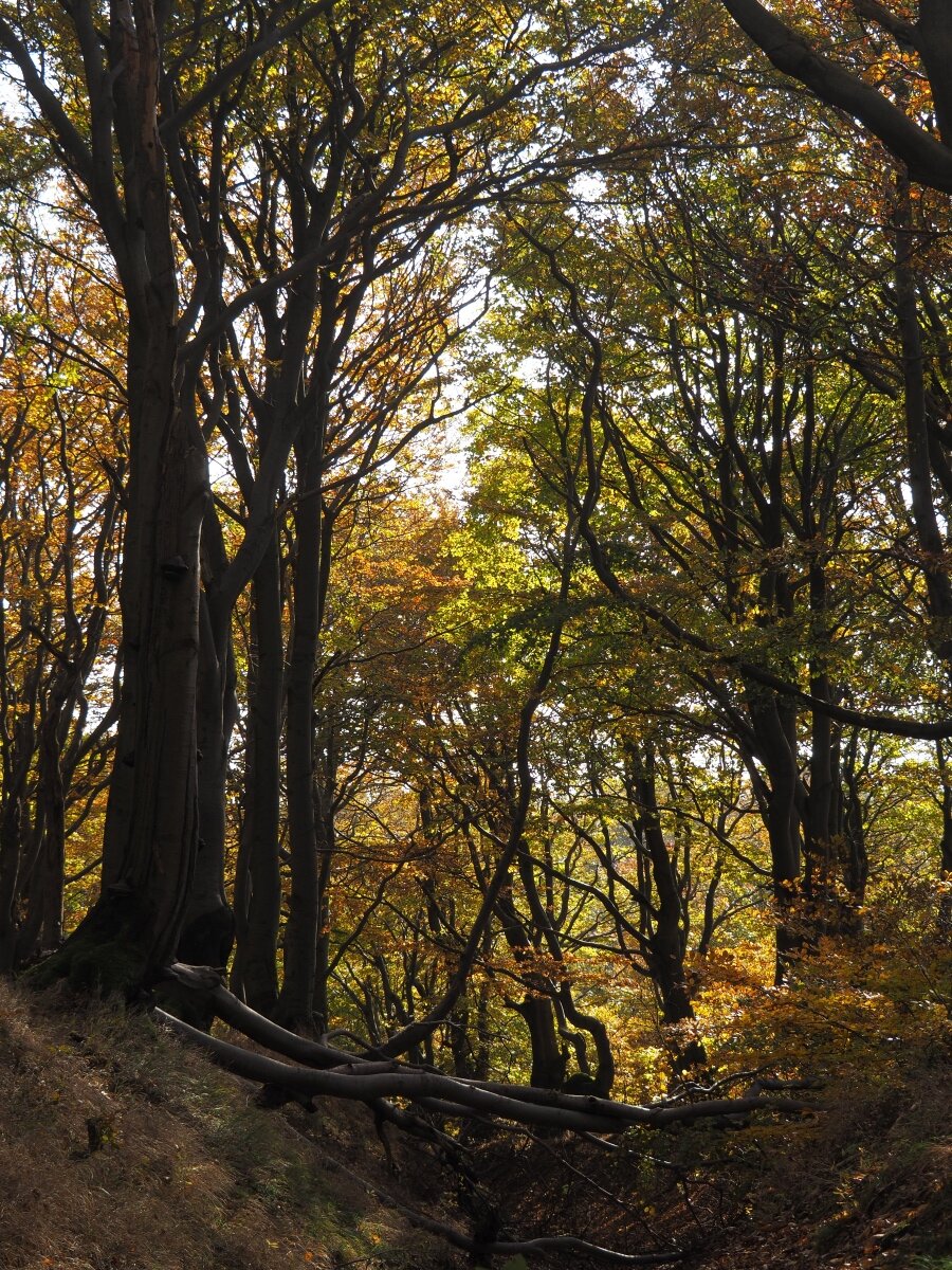 PA203717n.JPG