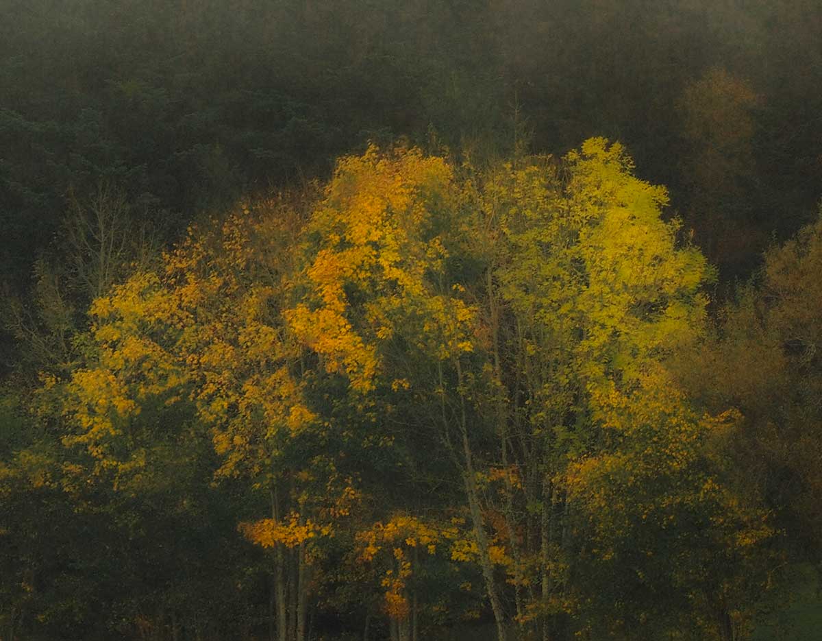 PA220017.jpg
