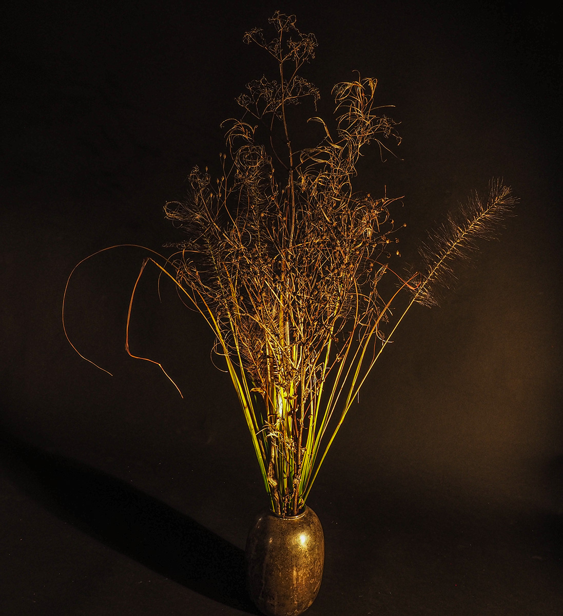 PA230023-Edit.jpg