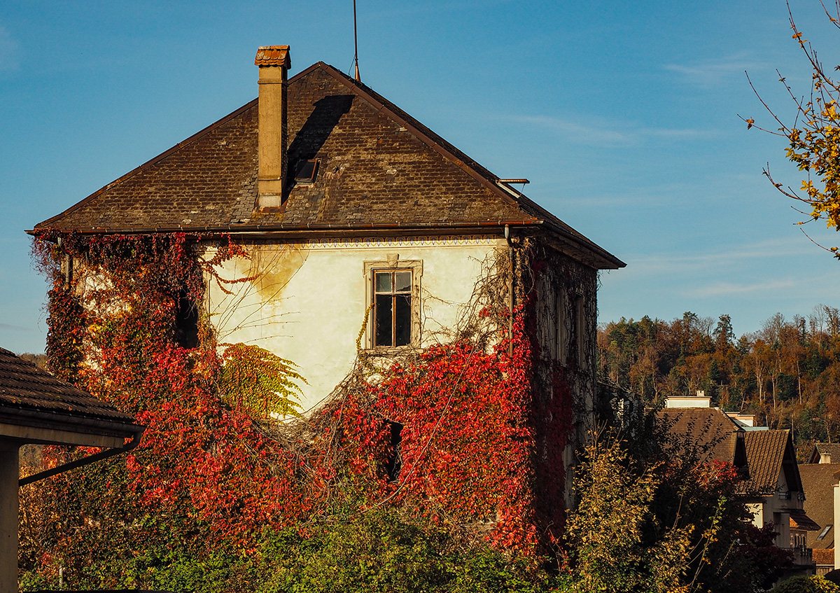 PA250013.jpg