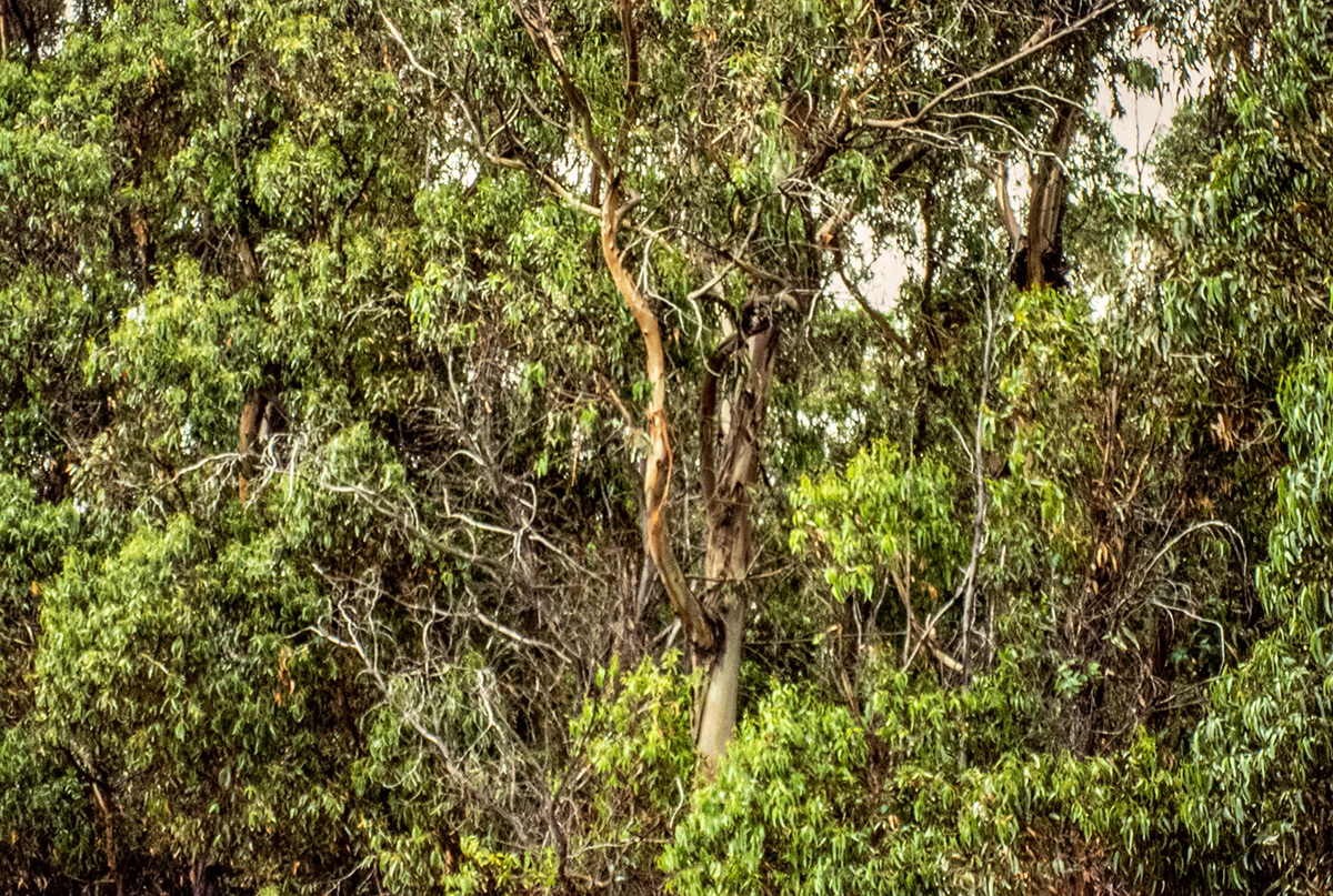 PA260529.jpg