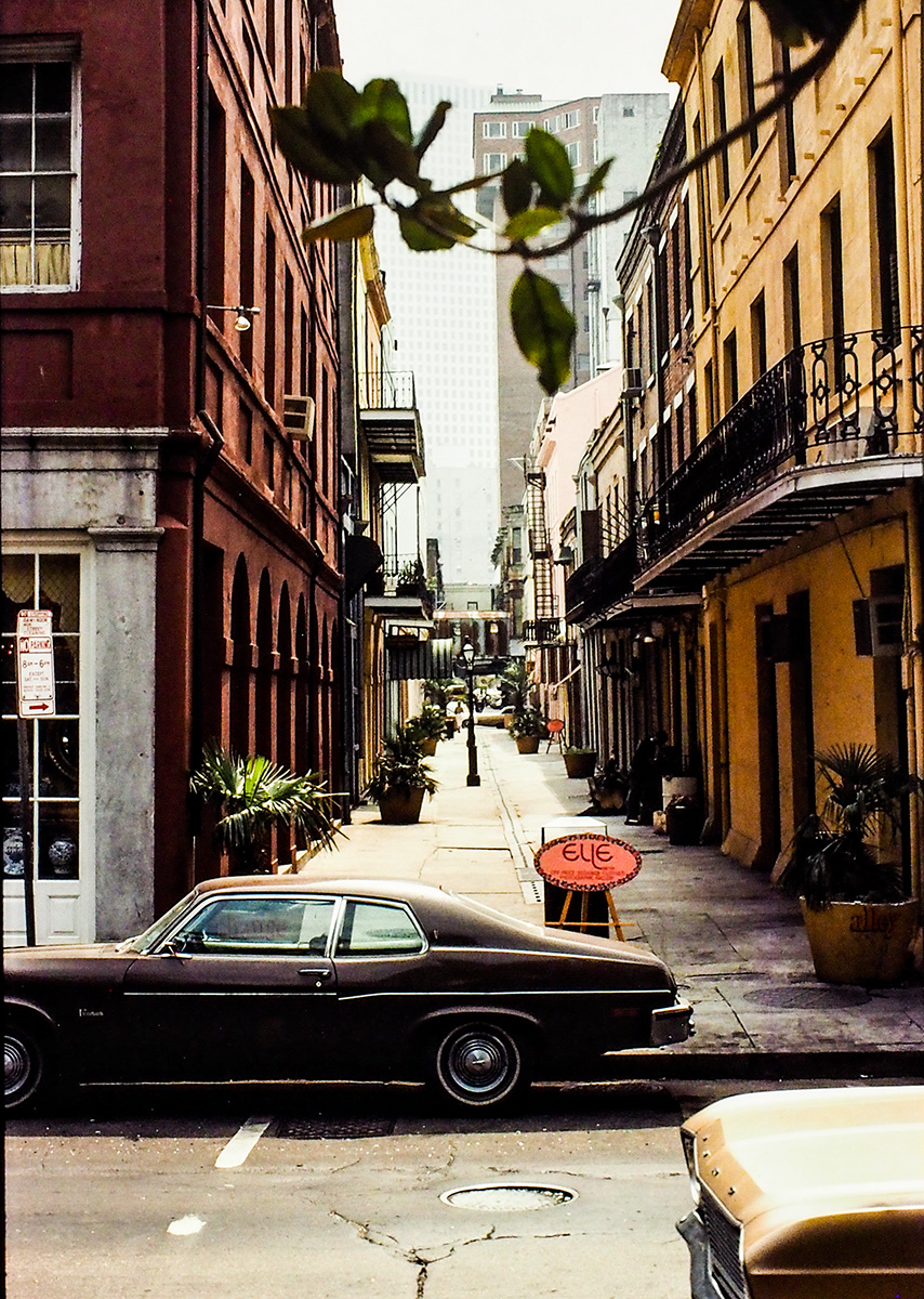 PA260670.jpg