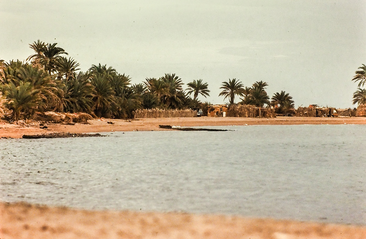 PA260694.jpg