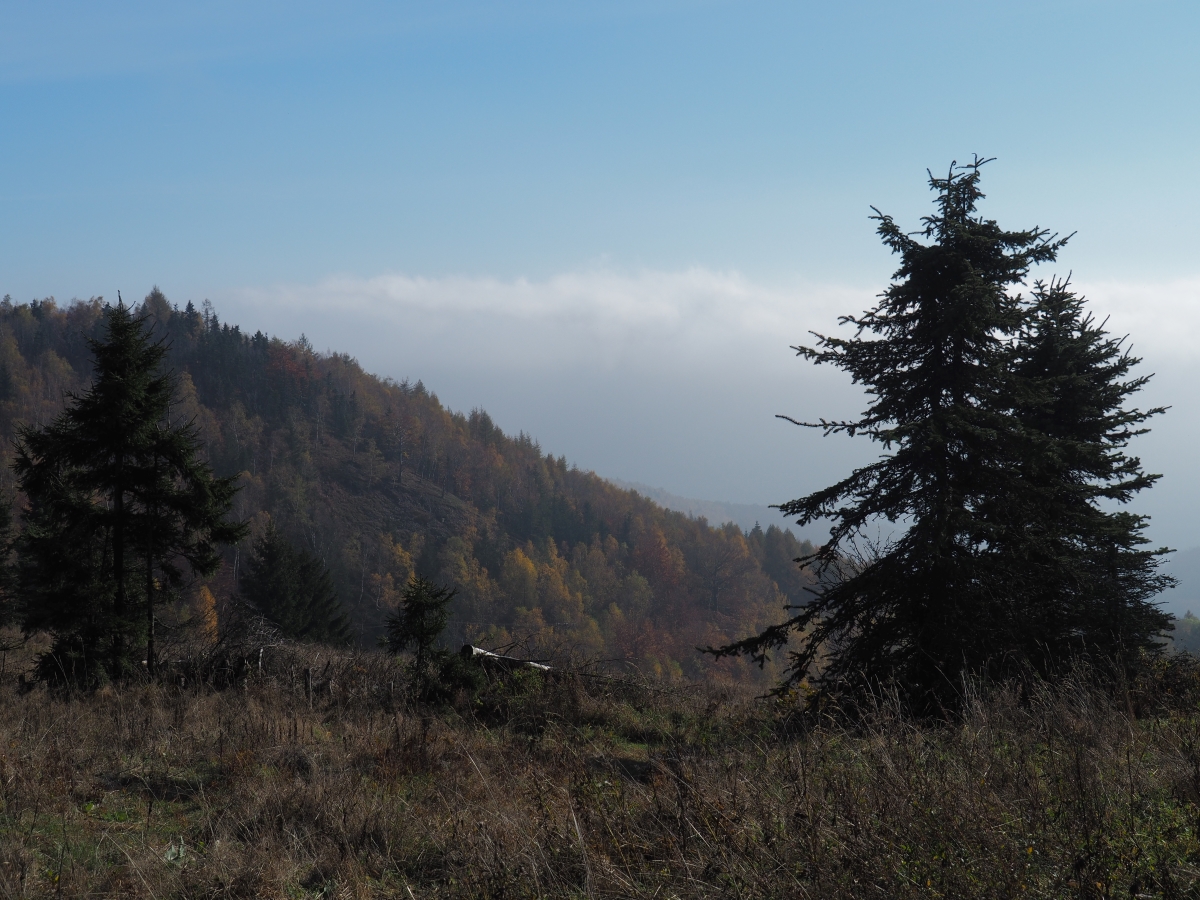 PA273738n.JPG