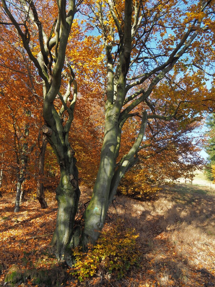 PA273759n.JPG